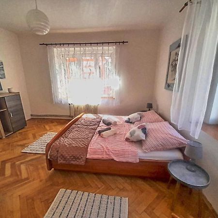Apartmán Isabel Decin Exteriér fotografie